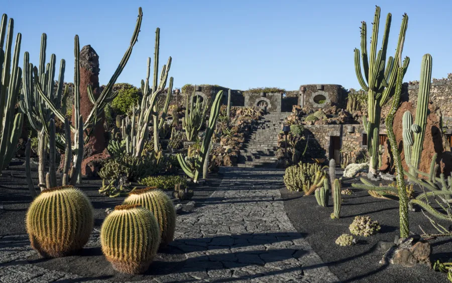 Lanzarote recibe el premio Carlo Scarpa concedido por la Fundación Benetton al Jardín de CactuS