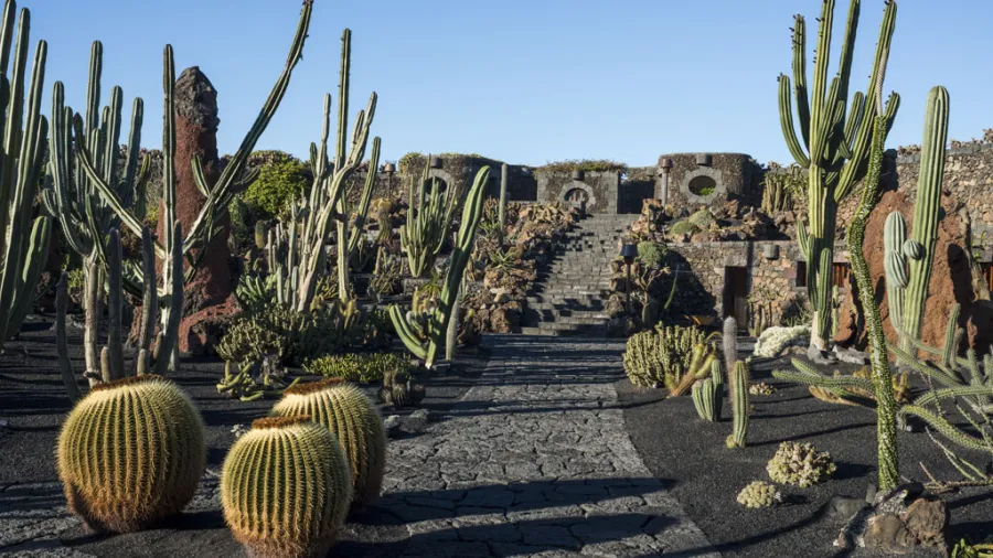 Lanzarote recibe el premio Carlo Scarpa concedido por la Fundación Benetton al Jardín de CactuS