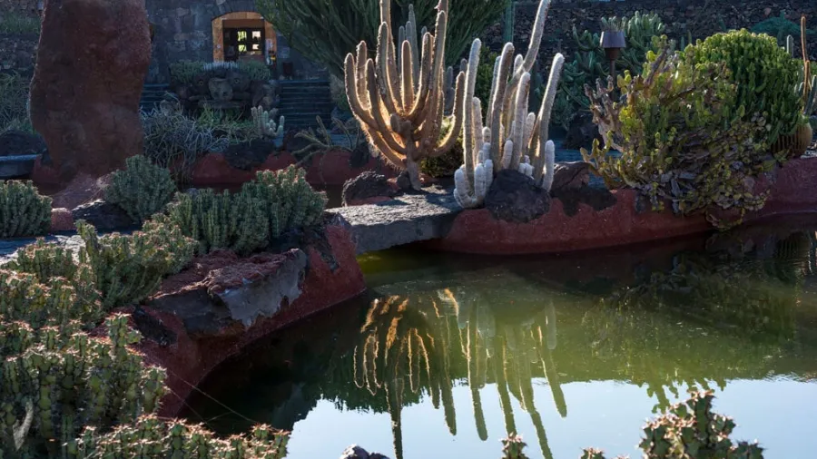 Jardin-detalle-25-2