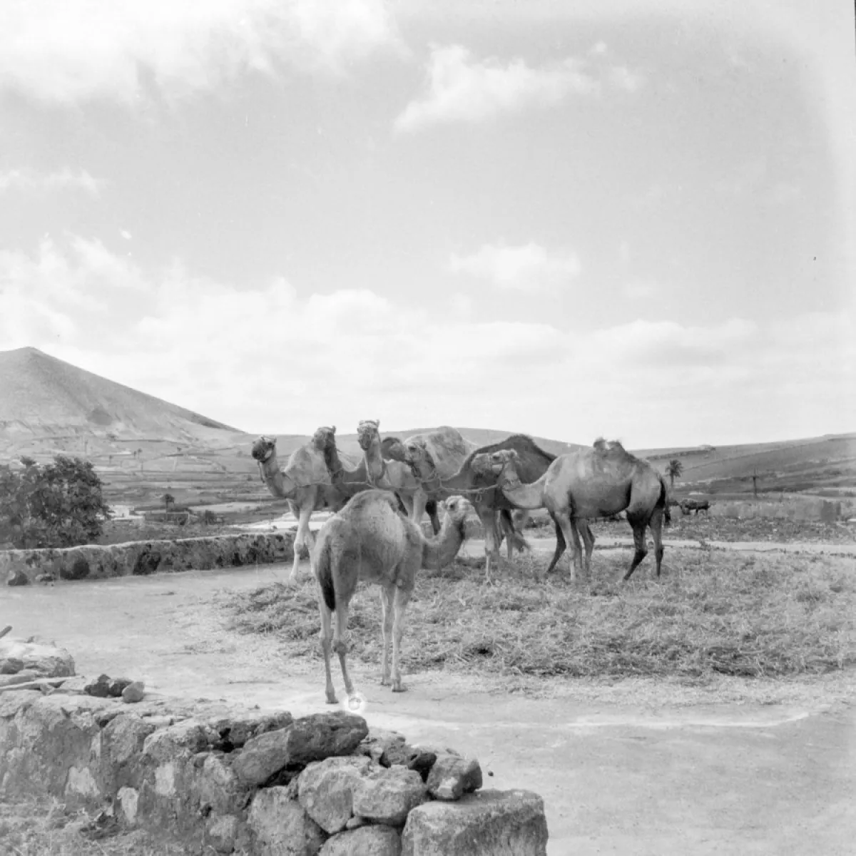 la era casa museo del campesino