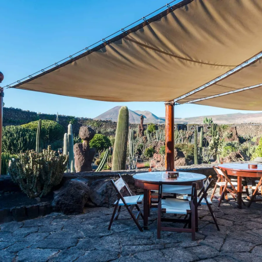 Jardín de Cactus