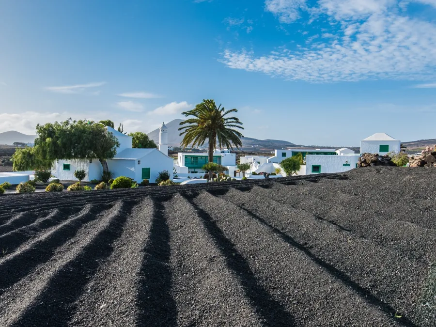 cultivo casa museo