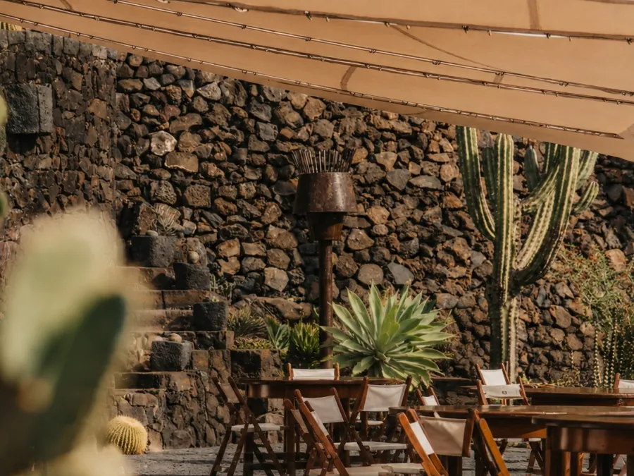 jardín de cactus