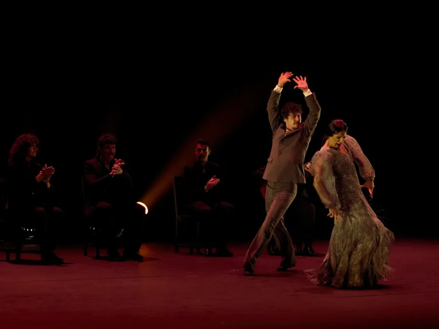 escena lanzarote. repertorio flamenco