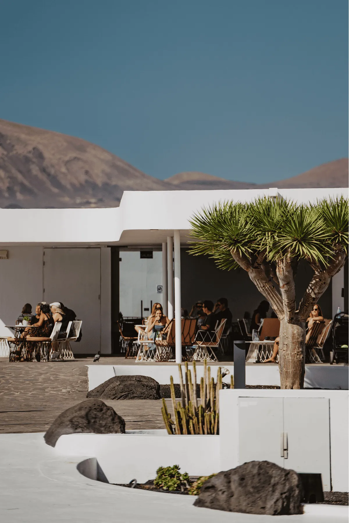 Diseno-sin-titulo-2024-09-30T123843.943